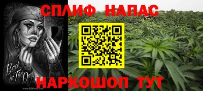 apvp Кунгур