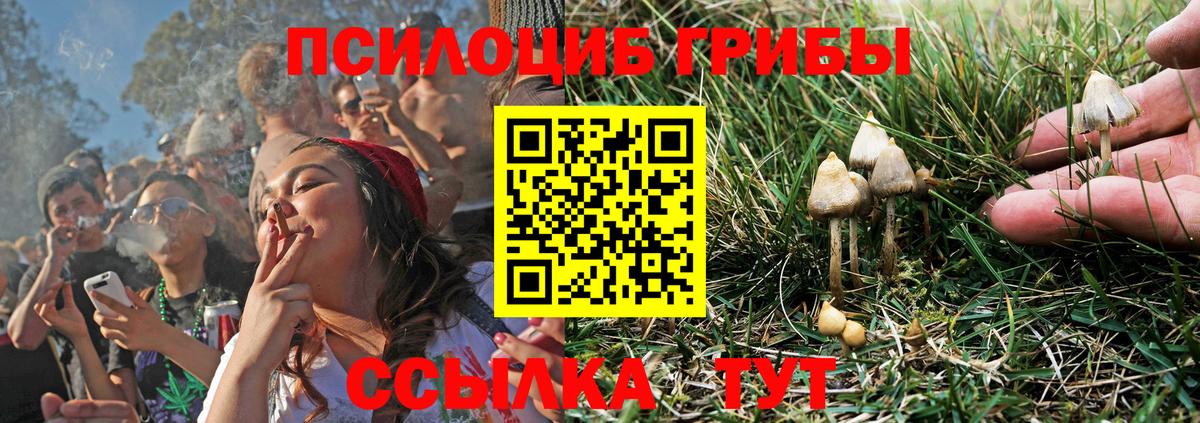 Галлюциногенные грибы GOLDEN TEACHER Когалым