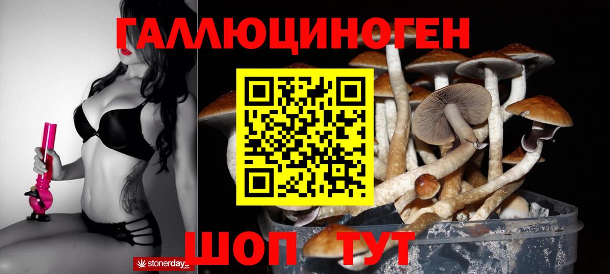 Галлюциногенные грибы GOLDEN TEACHER  Вход с VPN  Когалым  Псилоцибиновые грибы Psilocybe 